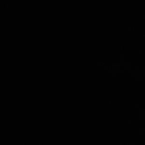 Meet your Posher, Justine